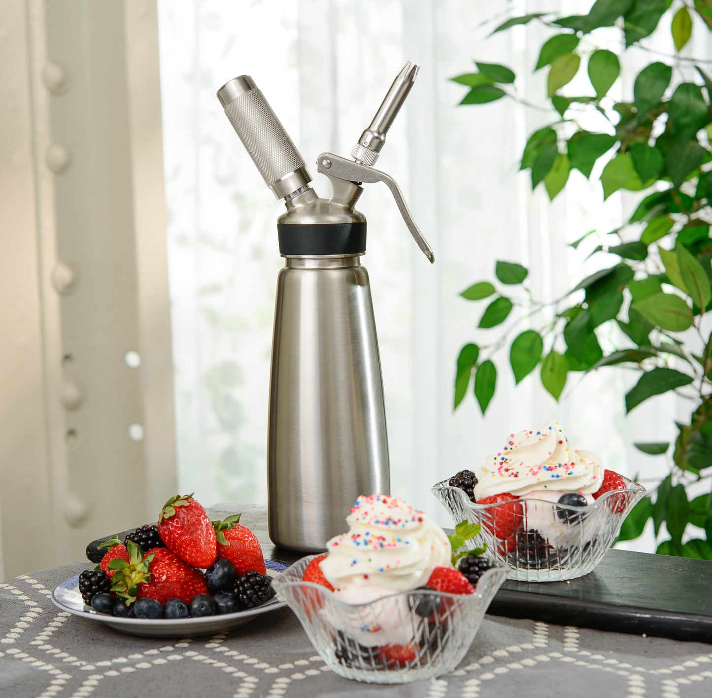 Stainless Steel Whipped Cream Dispenser